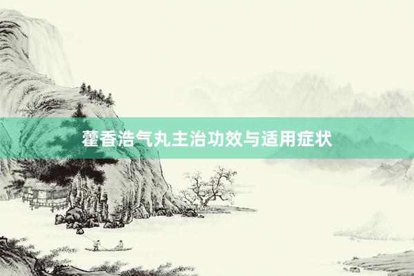 藿香浩气丸主治功效与适用症状