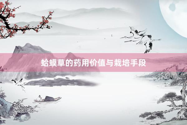 蛤蟆草的药用价值与栽培手段